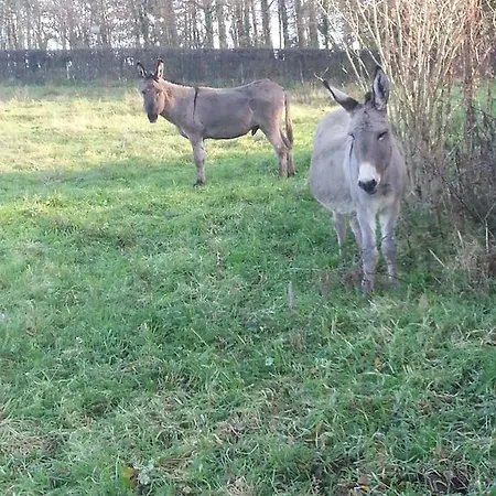 La Bergerie